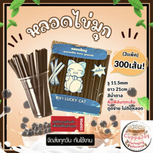 หลอดไข่มุก สีน้ำตาล ห่อฟิล์มทุกเส้น 300เส้น = 3แพ็ค (1ห่อ บรรจุ 100เส้น) ราคาถูก หลอดพลาสติก ยาว21cm