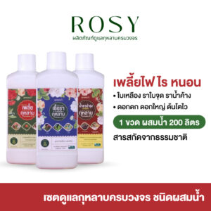 Rosy เซ็ทคู่สูตรผสมน้ำ [เลือกสูตร] บำรุงกุหลาบ กำจัดเพลี้ยไฟ กำจัดเชื้อรา ปุ๋ยกุหลาบ สำหรับผู้ที่ปลูกกุหลาบจำนวนมาก