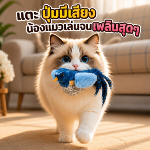 ของเล่นตุ๊กตา ของเล่นแมว รูปนกตลก มีเสียง สําหรับออกกําลังกายสัตว์เลี้ยง U-BIRD ของเล่นตุ๊กตา ของเล่นแมว รูปนกตลก มีเสียง สําหรับออกกําลังกายสัตว์เลี้ยง U-BIRD
