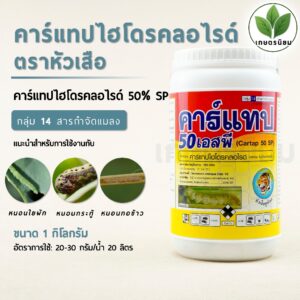 คาร์แทป ตราหัวเสือ (คาร์แทปไฮโดรคลอไรด์ 50% W/W SP) 1 กิโลกรัม คาร์แทป ตราหัวเสือ (คาร์แทปไฮโดรคลอไรด์ 50% W/W SP) 1 กิโลกรัม