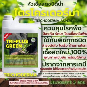 ไตรโคเดอร์มา เชื้อสด ชนิดน้ำ ขนาด 5 ลิตร ควบคุมโรค เชื้อรา ราก โคนเน่า ใบหงิก แคงเกอร ใบจุด ชีวภาพ ไม้ด่าง Trichoderma ไตรโคเดอร์มา เชื้อสด ชนิดน้ำ ขนาด 5 ลิตร ควบคุมโรค เชื้อรา ราก โคนเน่า ใบหงิก แคงเกอร ใบจุด ชีวภาพ ไม้ด่าง Trichoderma